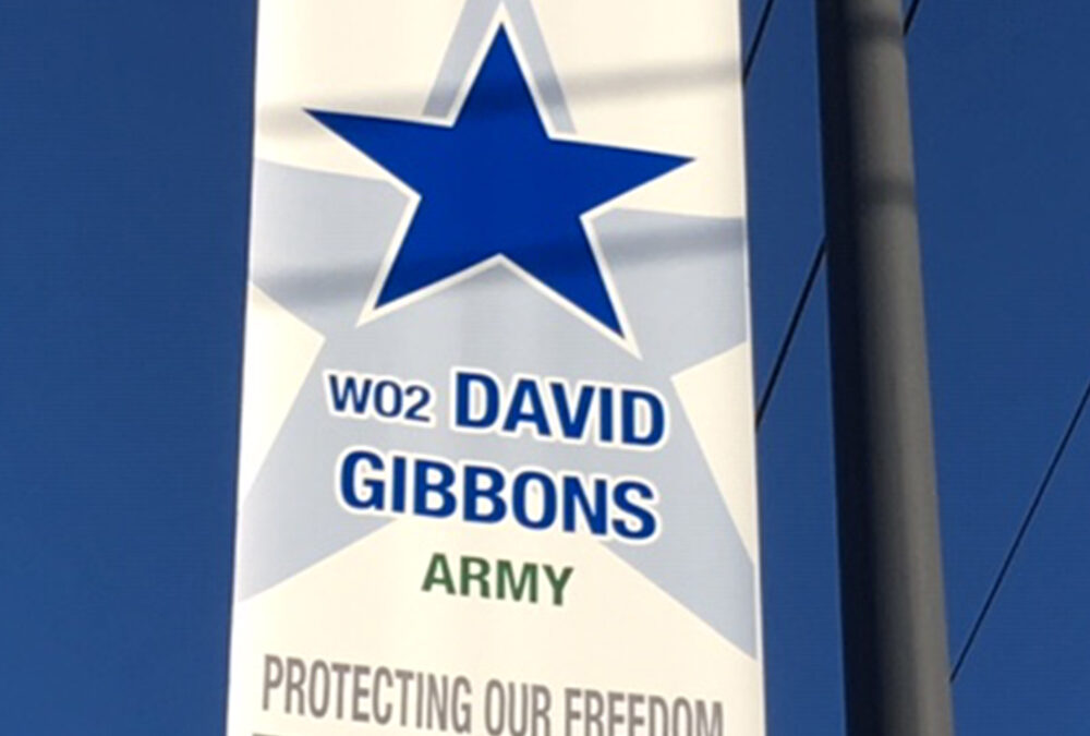 Gibbons, David, WO2