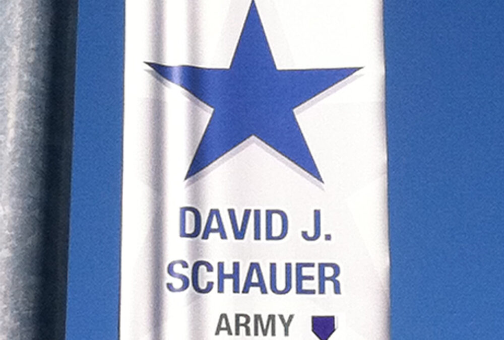 Schauer, David J