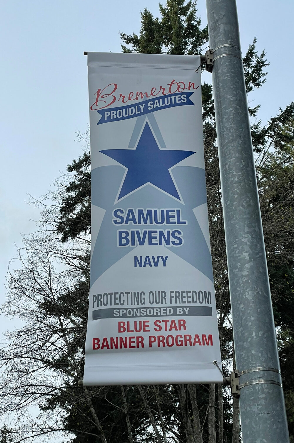 Bivens-Samuel