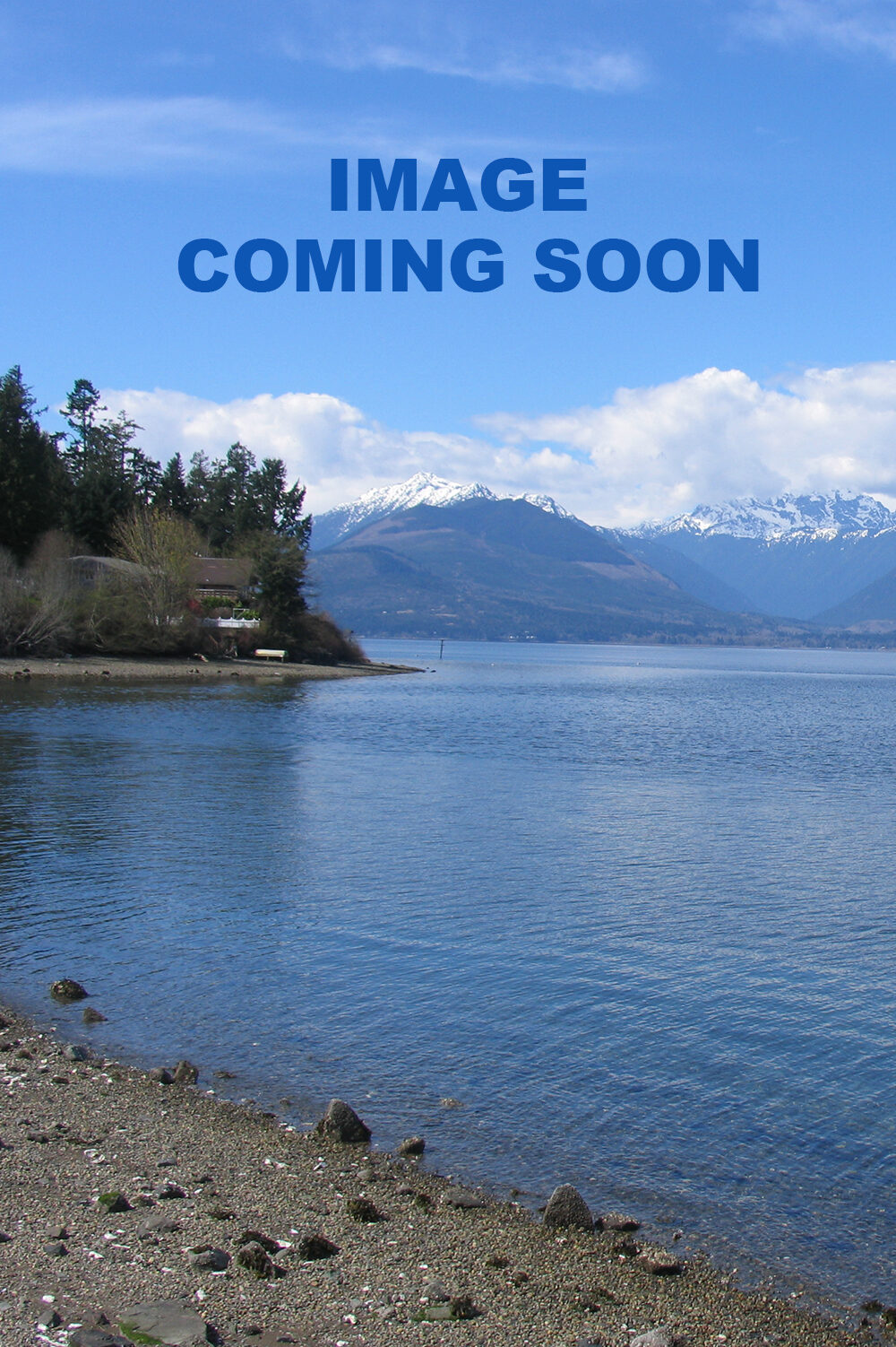 Image-coming-soon