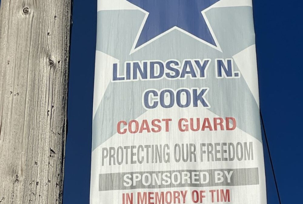Cook, Lindsay N.